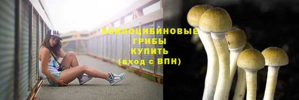 твердый Михайлов