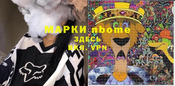 твердый Михайлов